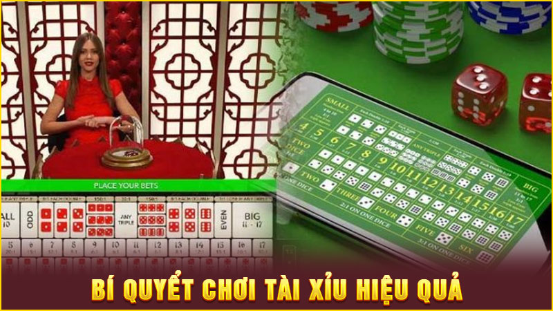 bí quyết chơi tài xỉu hiệu quả