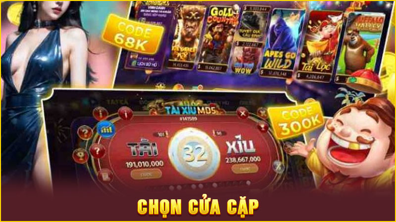 chọn cửa cặp