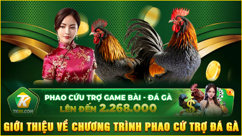 giới thiệu về chương trình phao cứ trợ đá gà